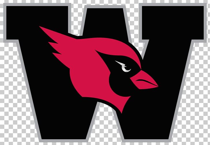 Ohio Wesleyan University Wesleyan Cardinals Football Columbia University PNG, Clipart, American Football, Art, Athlete, Athletics, Beak Free PNG Download