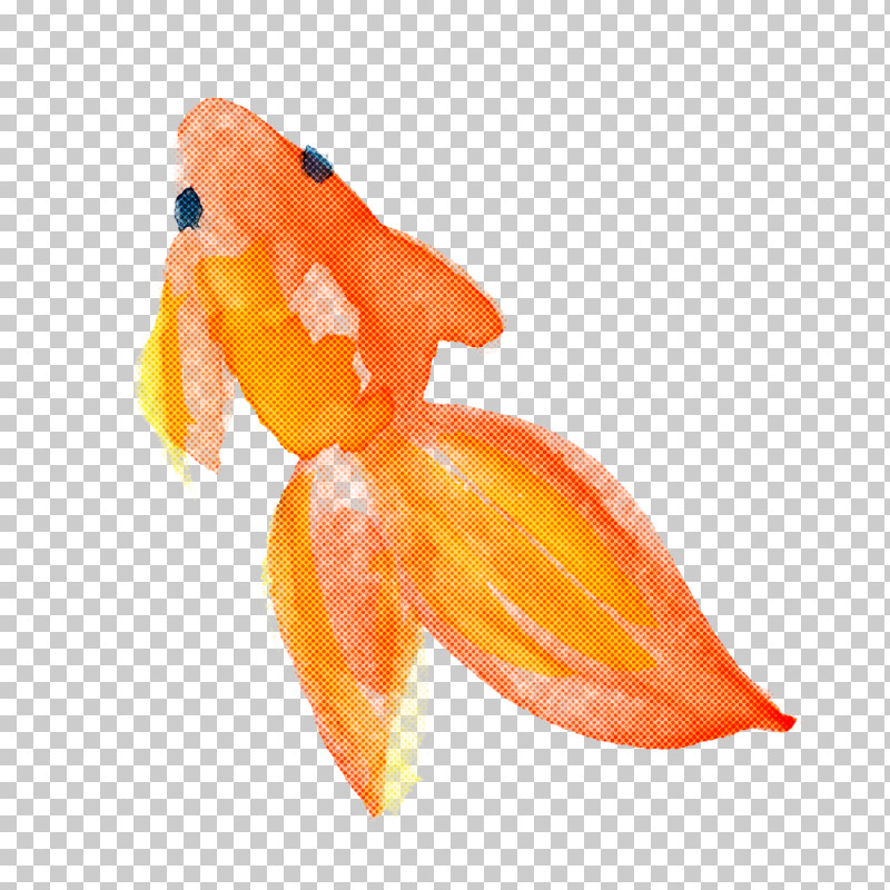 Orange PNG, Clipart, Goldfish, Orange, Plant, Watercolor Fish Free PNG Download