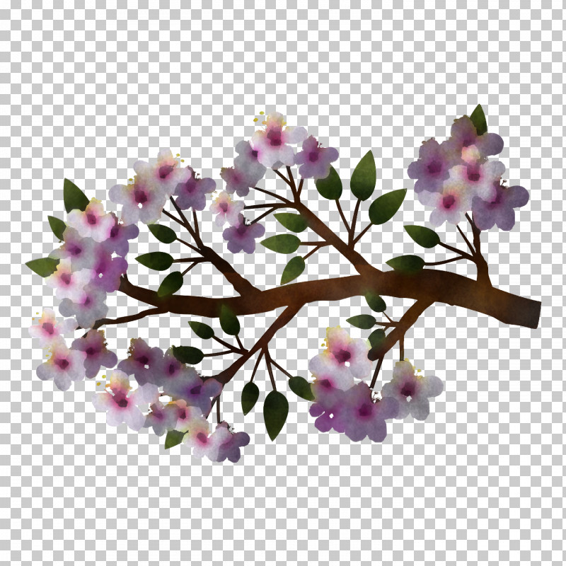 Spring PNG, Clipart, Blossom, Branch, Cherry Blossom, Daphne, Flower Free PNG Download