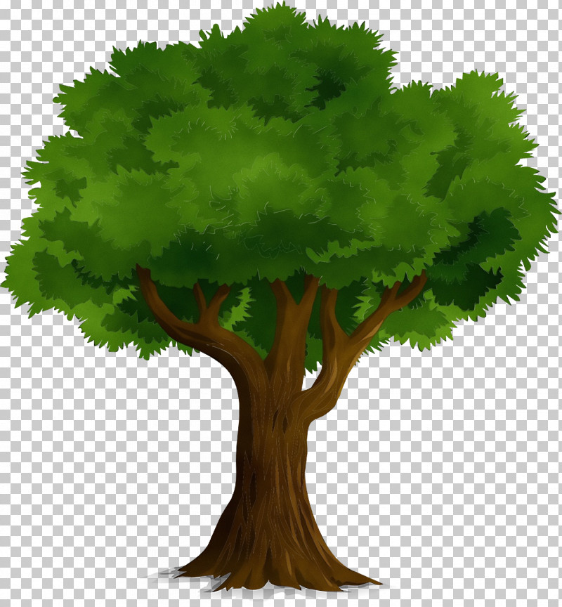 Tree Tree Planting Cartoon Oak Watercolor Painting PNG, Clipart, Cartoon, Oak, Paint, Tree, Tree Planting Free PNG Download