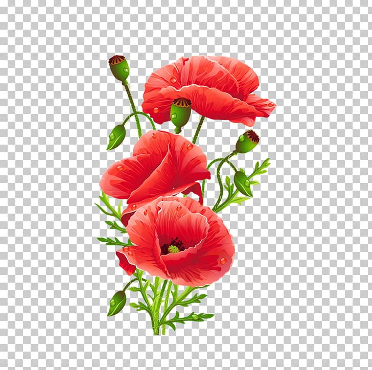 Common Poppy Flower Red PNG, Clipart, Artificial Flower, Coquelicot, Decorative, Encapsulated Postscript, Floral Free PNG Download