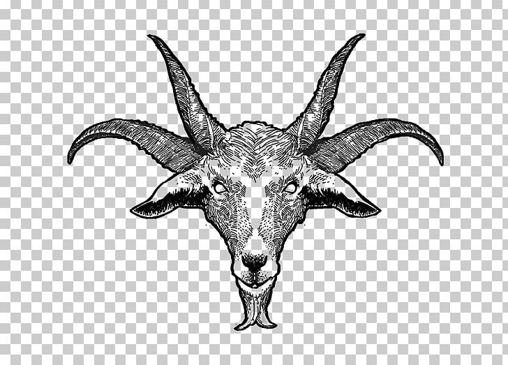 Goat Cattle Horn Skull Wildlife PNG, Clipart, Animals, Behance, Black And White, Cattle, Cattle Like Mammal Free PNG Download
