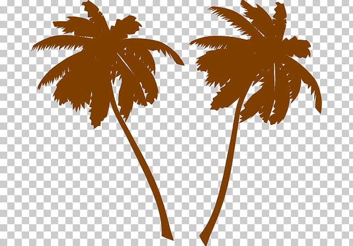 Arecaceae Tree White PNG, Clipart, Arecaceae, Arecales, Black And White, Branch, Clipart Free PNG Download