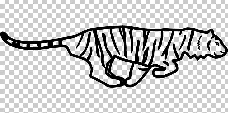 White Tiger Black Tiger PNG, Clipart, Animal, Animal Figure, Animals, Area, Big Cats Free PNG Download