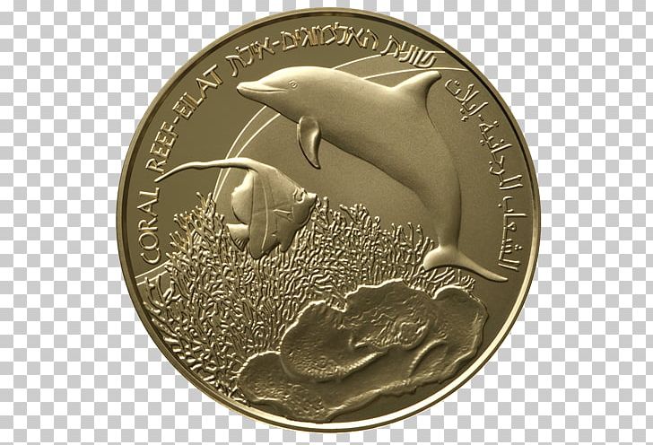 Coin Eilat Silver Medal Bank PNG, Clipart, Bank, Bank Of Israel, Coin, Coral Reef, Currency Free PNG Download