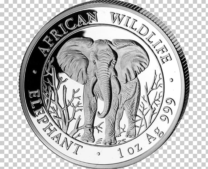 Coin Indian Elephant Silver African Elephant Somalia PNG, Clipart, African Elephant, Black And White, Bullion, Bullion Coin, Circle Free PNG Download