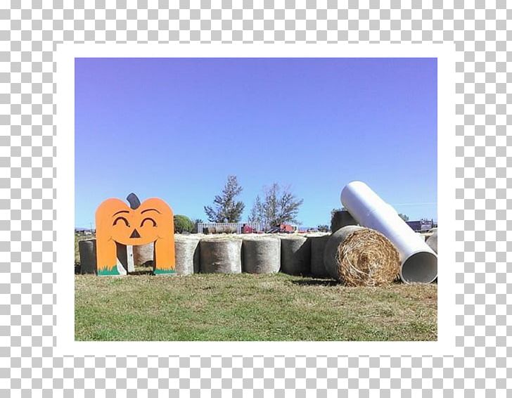 Farm Goat Corn Maze Ranch Hay PNG, Clipart, Big Bertha, Blast, Corn Maze, Dragstrip, Farm Free PNG Download