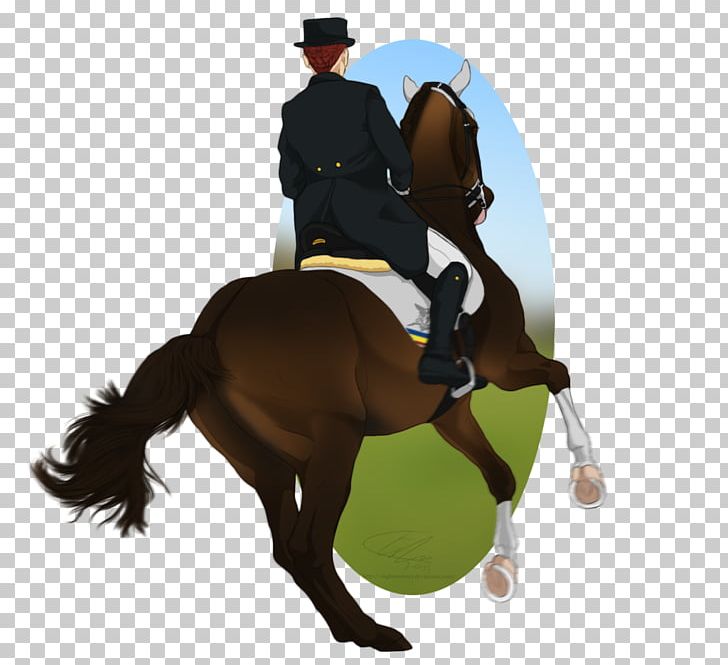 Hunt Seat Stallion Rein Dressage Mustang PNG, Clipart, Animal Training, Equestrian, Equestrian Helmet, Equestrianism, Equestrian Sport Free PNG Download