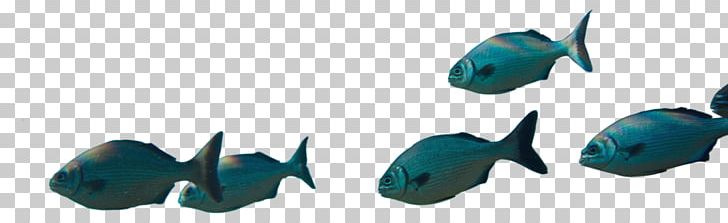 Plastic Technology PNG, Clipart, Animal, Animal Figure, Fish, Microsoft Azure, Plastic Free PNG Download
