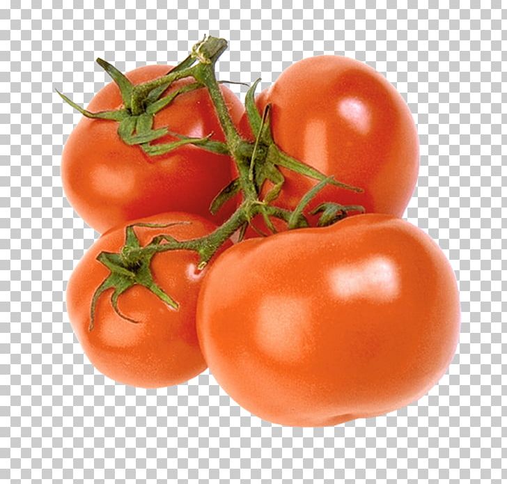 Plum Tomato Bush Tomato Vegetable Vegetarian Cuisine PNG, Clipart, Advertising, Food, Fruit, Local , Natural Foods Free PNG Download