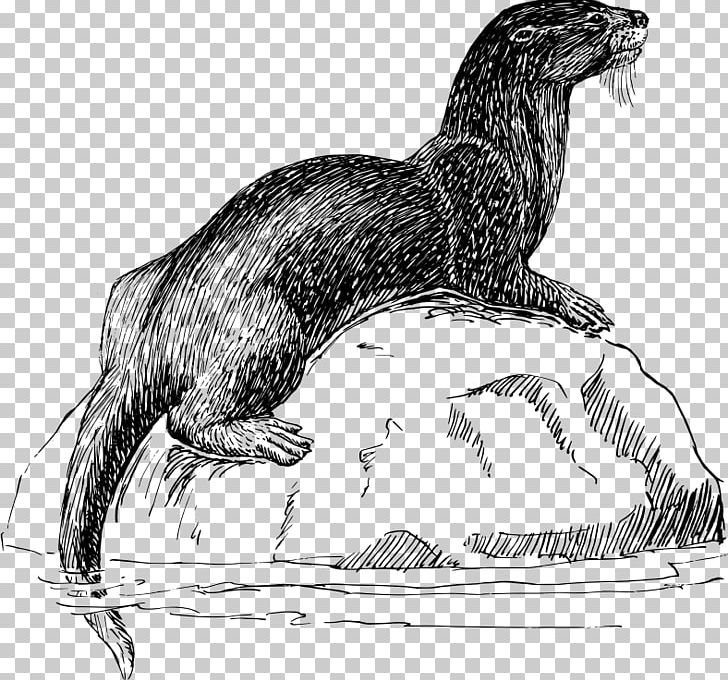 Sea Otter North American River Otter Vertebrate PNG, Clipart, Beak, Beaver, Bird, Carnivoran, Claw Free PNG Download