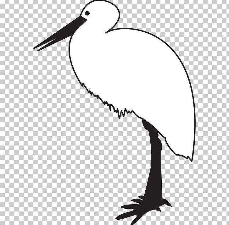 White Stork Black Stork Bird Black And White PNG, Clipart, Animal, Animals, Area, Artwork, Balloon Cartoon Free PNG Download