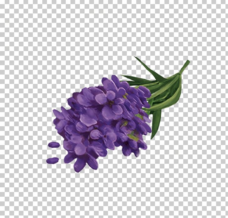 Yogi Tea Lavender Cut Flowers Energy PNG, Clipart, Cut Flowers, Ekoplaza, Energy, Flower, Flowering Plant Free PNG Download