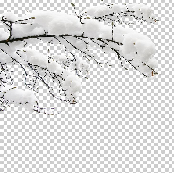 Dongzhi Daxue Snow Template PNG, Clipart, Angle, Black And White, Branch, Christmas Snow, Data Free PNG Download