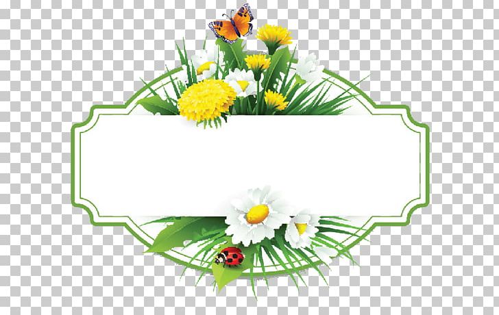 Flower Paper Floral Design PNG, Clipart, Artwork, Chamomile, Clip Art, Common Daisy, Cut Flowers Free PNG Download