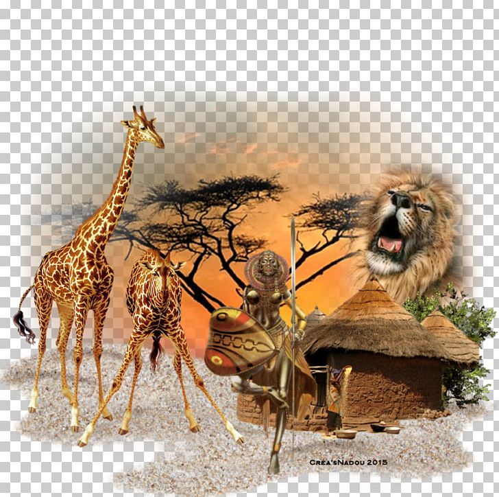 Lion Northern Giraffe Hit Single Wildlife PNG, Clipart, Animal, Animals, Canalblog, Fauna, Giraffe Free PNG Download