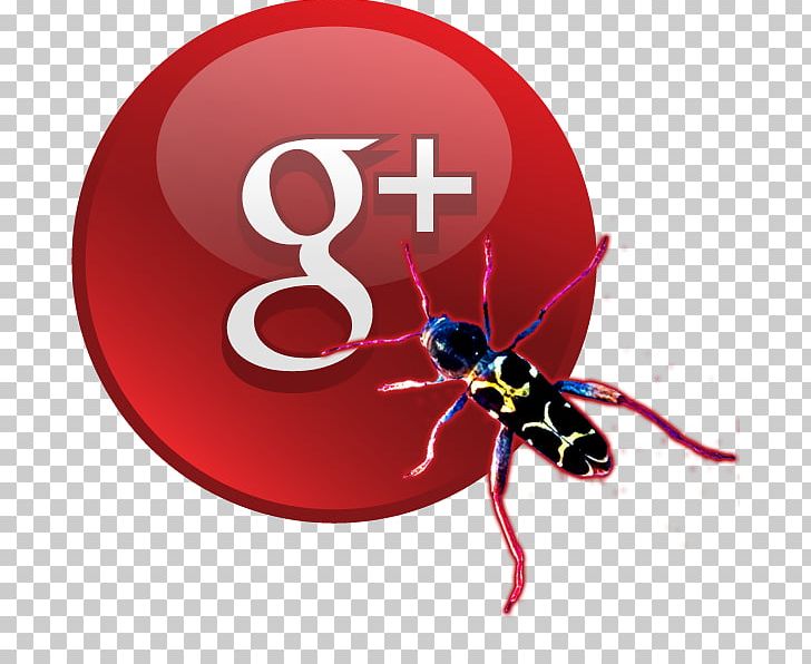 YouTube Google+ Computer Icons Social Network PNG, Clipart, Arthropod, Beetle, Computer Icons, Google, Google Plus Free PNG Download