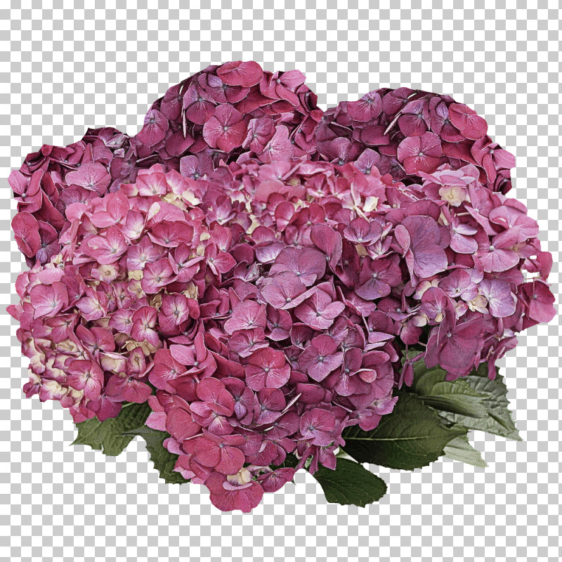 Flower Bouquet PNG, Clipart, Artificial Flower, Cut Flowers, Flower, Flower Bouquet, Garden Roses Free PNG Download