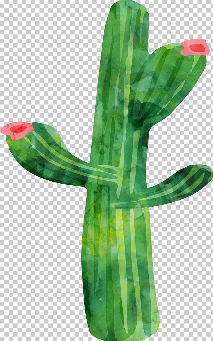 Cactaceae Watercolor Painting Plant PNG, Clipart, Cactus, Color, Download, Editing, Flowering Plant Free PNG Download