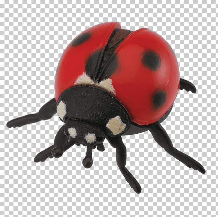 Ladybird Beetle The Ladybird Toy Seven-spot Ladybird PNG, Clipart, Animal, Animal Figurine, Animals, Arthropod, Beetle Free PNG Download