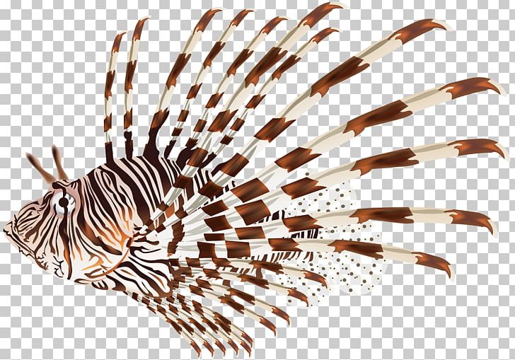 Lionfish PNG, Clipart, Drawing, Encapsulated Postscript, Fish, Lion, Lionfish Free PNG Download