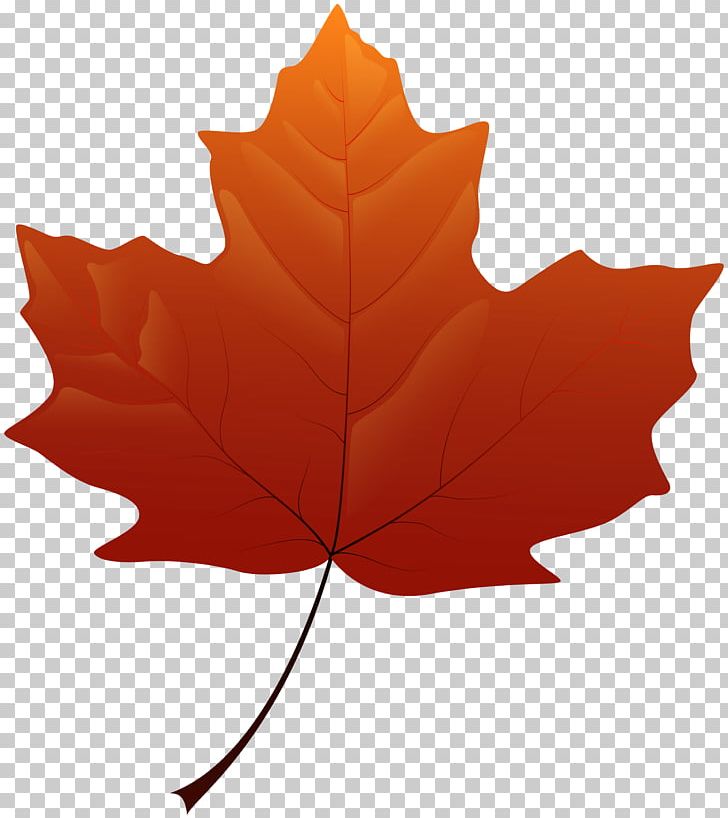 Maple Leaf Yellow PNG, Clipart, Autumn, Autumn Leaf Color, Autumn Leaves, Flowering Plant, Green Free PNG Download