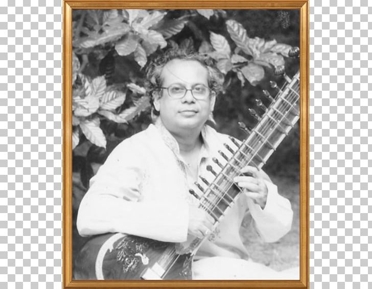 Plucked String Instrument Sitar Photography Frames PNG, Clipart, Guru, Ministry Of Ayush, Musical Instrument, Musical Instruments, Others Free PNG Download