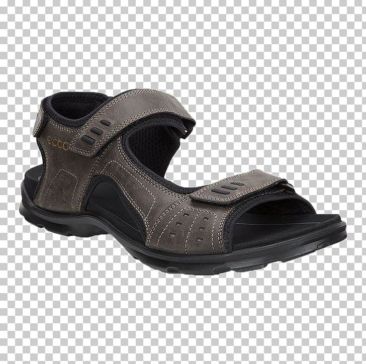Sandal Shoe Clothing Teva ECCO PNG, Clipart,  Free PNG Download