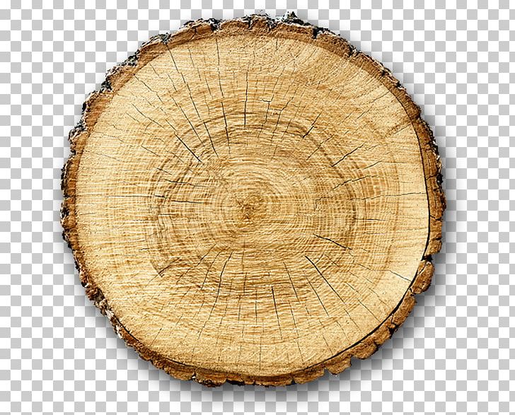 Stock Photography Wood Tree Biomass Fotolia PNG, Clipart, Biomass, Circle, Cross Section, Fotolia, Isolated Free PNG Download