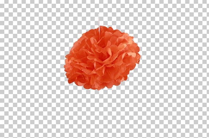 Paper Pom-pom Coral PNG, Clipart, 30 Cm, Coral, Miscellaneous, Orange, Others Free PNG Download