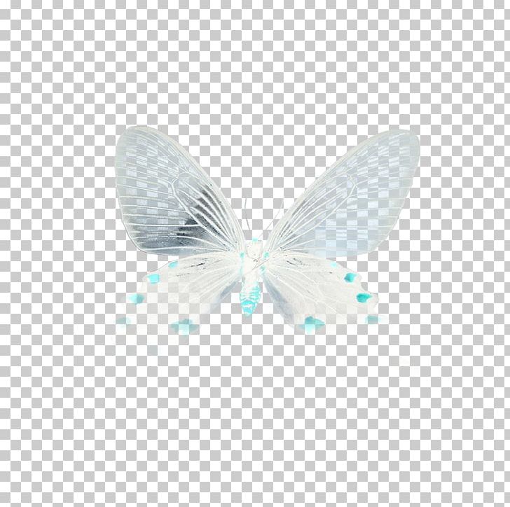 Butterfly Turquoise Microsoft Azure PNG, Clipart, Butterflies, Butterflies Float, Butterfly, Butterfly Group, Butterfly Vector Free PNG Download