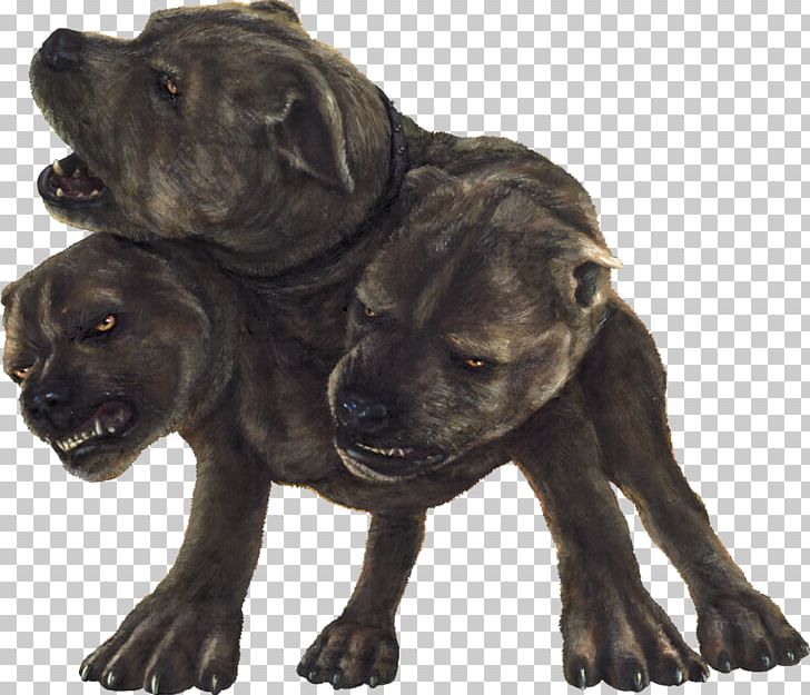 Harry Potter And The Philosopher's Stone Rubeus Hagrid Dog Cerberus PNG, Clipart, Animals, Carnivoran, Dog Breed, Dog Breed Group, Dog Like Mammal Free PNG Download