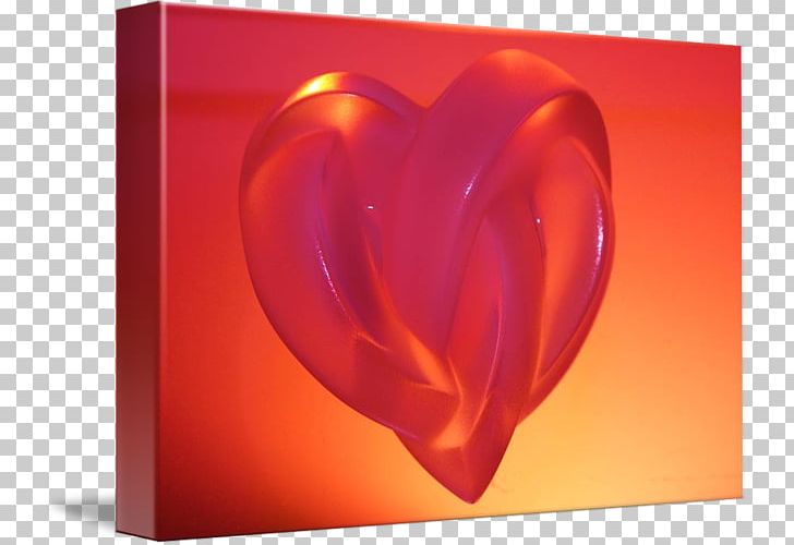 Still Life Photography Heart PNG, Clipart, Handle With Care, Heart, Love, Others, Petal Free PNG Download