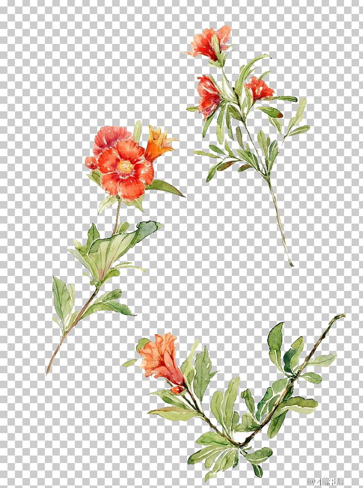 Watercolour Flowers Floral Design Watercolor Painting Drawing PNG, Clipart, Branch, Cartoon, Cecil Kennedy, Cut Flowers, Decoration Free PNG Download