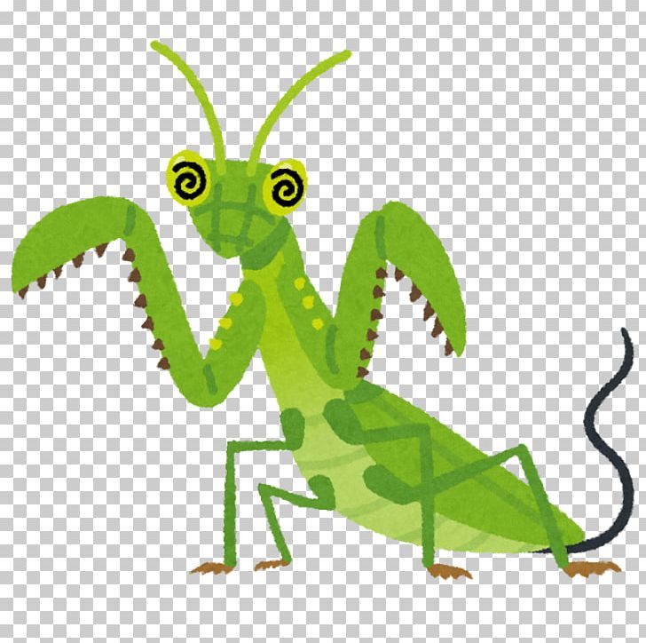 Mantis Gordioidea Tenodera Aridifolia Esaka Shrine Tokyo PNG, Clipart, Animal Figure, Art, Bug, Child, Fauna Free PNG Download