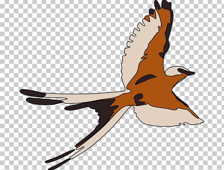Bird Computer Icons PNG, Clipart, American Kestrel, Animals, Beak, Bird, Bird Flight Free PNG Download