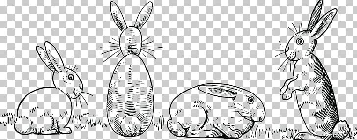 Draw 50 Animals Drawing Made Easy: A Helpful Book For Young Artists; The Way To Begin And Finish Your Sketches Clearly Shown Step By Step White Rabbit PNG, Clipart, Animals, Art, Artwork, Black And White, Book Free PNG Download