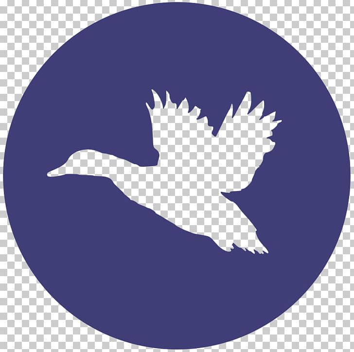 Duck Waterfowl Hunting Goose Decal PNG, Clipart, 2018, Beak, Bird, Computer, Construction Free PNG Download
