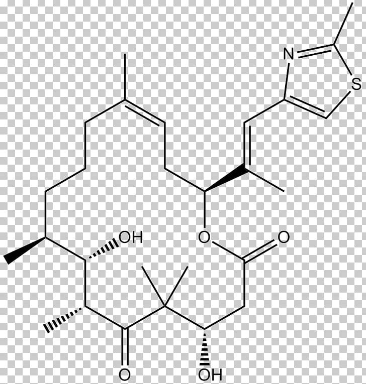 Epothilone Microtubule Tubulin Enzyme Inhibitor Pharmaceutical Drug PNG, Clipart, Angle, Area, Black And White, Cell, Cell Cycle Free PNG Download