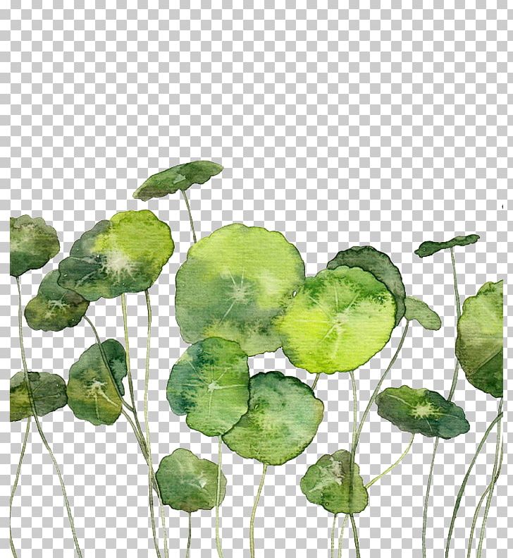Watercolor Painting Illustration PNG, Clipart, Branch, Coins, Creative, Decorative, Decorative Free PNG Download