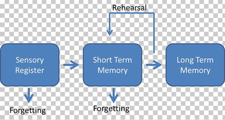 Atkinson–Shiffrin Memory Model Psychology Storage Information PNG, Clipart, Area, Brand, Cheat Sheet, Child, Cognition Free PNG Download