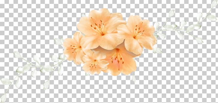 Floral Design Cut Flowers Flower Bouquet Blossom PNG, Clipart, Autumn, Autumn Flowers, Blossom, Branch, Cherry Free PNG Download