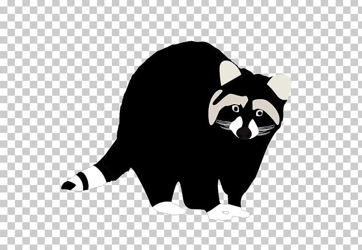 Raccoon Whiskers Free Content PNG, Clipart, Bear, Black And White, Black Raccoon Pictures, Blog, Carnivoran Free PNG Download