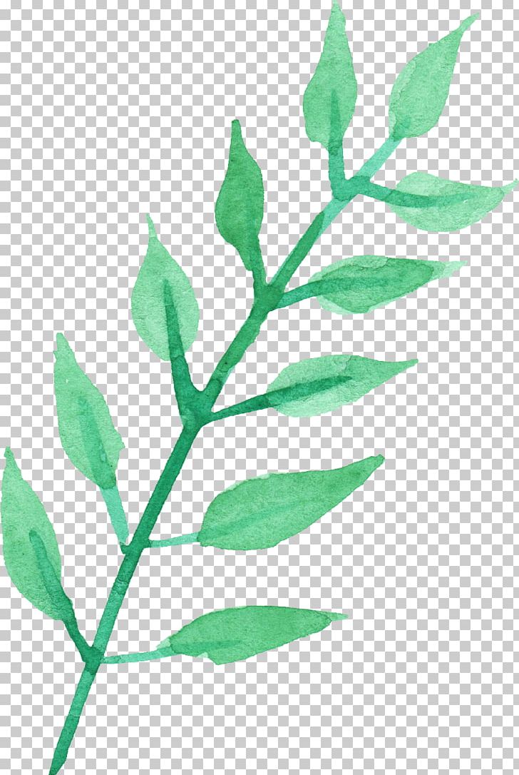 Transparent Watercolor Leaf Plant Stem Twig Watercolor Painting PNG, Clipart, Branch, Drawing, Flower, Leaf, Painting Free PNG Download