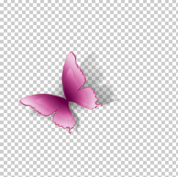 Butterfly Petal Computer PNG, Clipart, Blue Butterfly, Butterflies, Butterfly, Butterfly Group, Butterfly Vector Free PNG Download