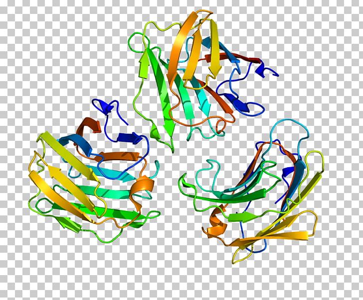 Galectin-9 Wikipedia Protein Galectin-3 PNG, Clipart, Apoptosis, Area, Art, Beta Sheet, Body Jewelry Free PNG Download