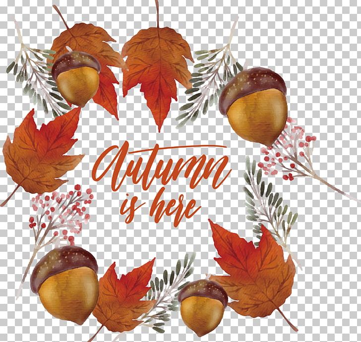 Leaf Euclidean PNG, Clipart, Apple, Autumn, Christmas Decoration, Encapsulated Postscript, Food Free PNG Download