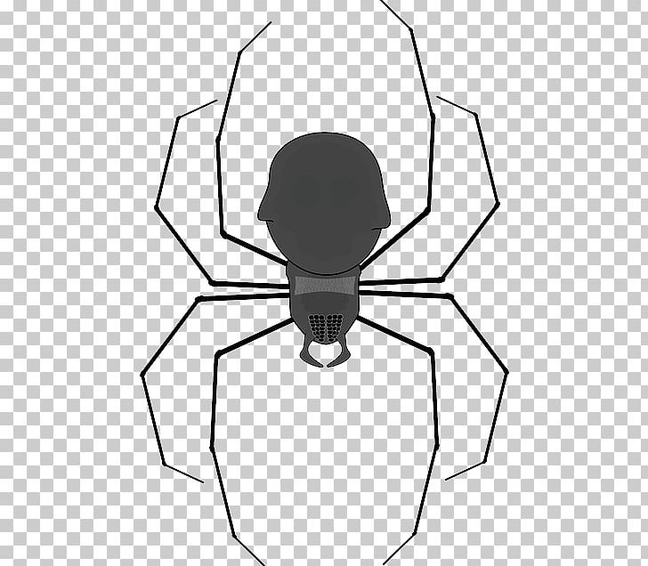 Spider Web PNG, Clipart, Angle, Arachnid, Area, Art, Artwork Free PNG Download