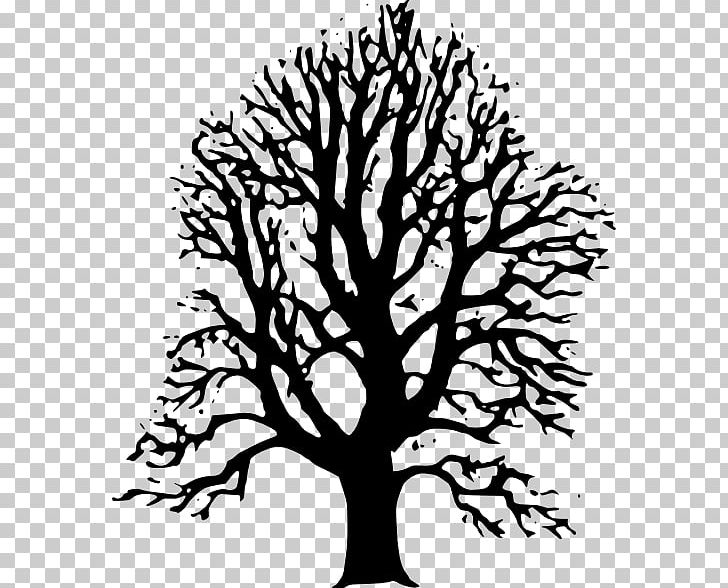 Tree Lime PNG, Clipart, Artwork, Basswood, Black And White, Branch, Citrus Free PNG Download