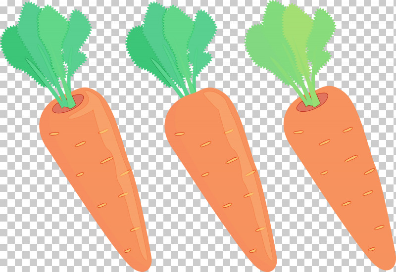 Vegetable Natural Foods Superfood Radish Carrot PNG, Clipart, Carrot, Fruit, Natural Foods, Paint, Radish Free PNG Download
